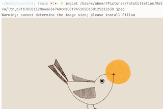 An inline image rendered in the terminal
